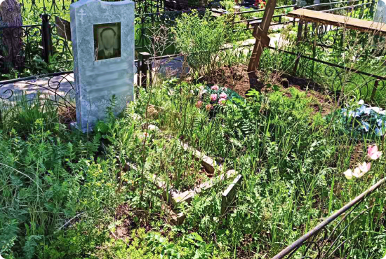 Не ухоженная могила